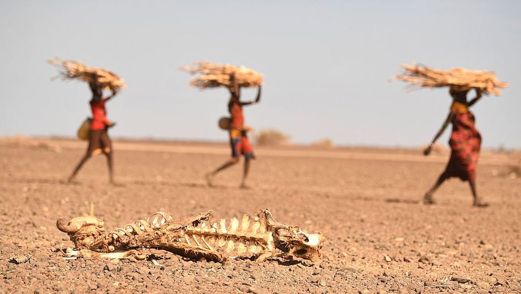 experts on drought warn that the country is heading towards danger